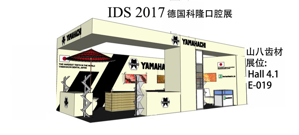 IDS2017 copy.jpg